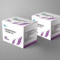 EB病毒核酸檢測試劑盒(熒光定量PCR法)