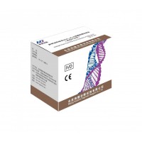 新型冠狀病毒核酸檢測試劑盒（熒光 PCR 法）