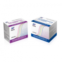 丙型肝炎病毒核酸測定試劑盒（PCR-熒光探針法）