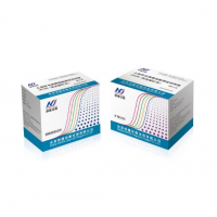 乙型肝炎病毒核酸測定試劑盒（PCR-熒光探針法）